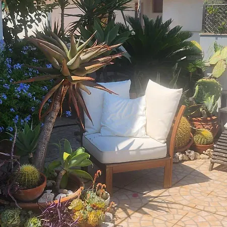 Apartamento Nicolashouse On The Sea 2 *